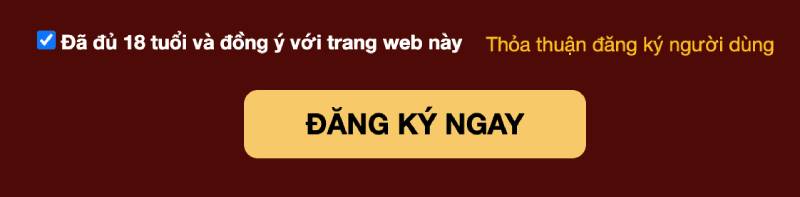 Hướng Dẫn Đăng Ký 98win Cực Dễ Dàng Và Nhanh Gọn 5 Bước 5: Đồng ý với điều khoản