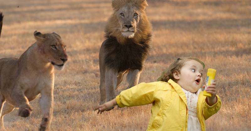 Mơ Thấy Bị Đuổi – Đánh Con Gì? Giải Mã Con Số May Mắn 4 Mơ thấy bị đuổi bởi thú dữ